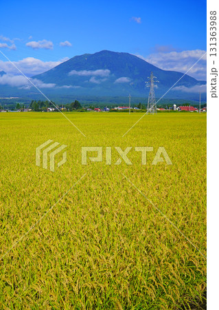 秋の田園風景(長野県信濃町) 秋の田園風景(長野県信濃町) 131363988