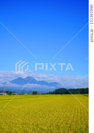 秋の田園風景（長野県信濃町） 131363990