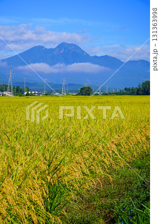 秋の田園風景(長野県信濃町) 秋の田園風景(長野県信濃町) 131363998