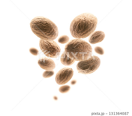 Ripe nutmegs levitate on a white background 131364087