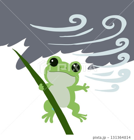 台風の風に飛ばされそうなカエル 131364814