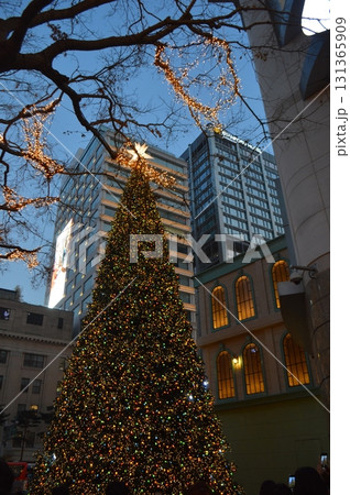 韓国ソウル市内のクリスマスツリーと建物のライトアップ 韓国ソウル市内のクリスマスツリーと建物のライトアップ 131365909