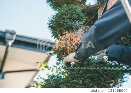 Japanese Gardener 131366005