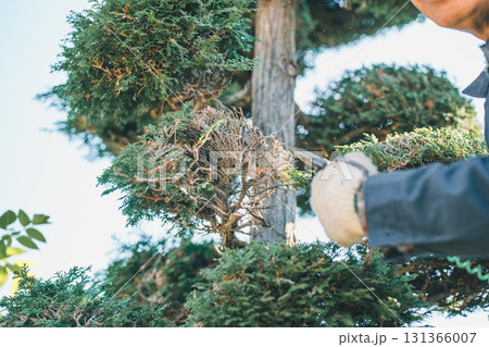 Japanese Gardener 131366007