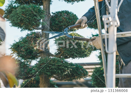Japanese Gardener 131366008