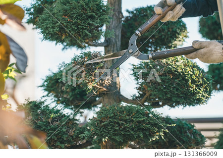 Japanese Gardener Japanese Gardener 131366009