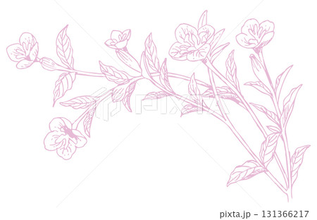 植物のスケッチ素材。野の草花。ベクターイラスト素材。 131366217