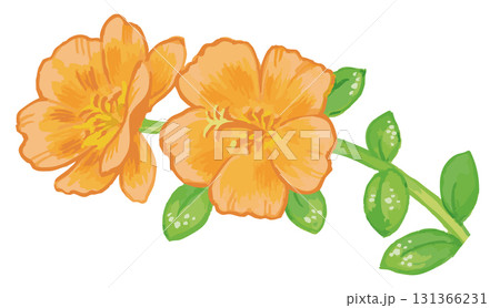 植物のスケッチ素材。野の草花。ベクターイラスト素材。 植物のスケッチ素材。野の草花。ベクターイラスト素材。 131366231