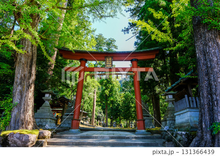 岡太神社　大瀧神社　鳥居 131366439