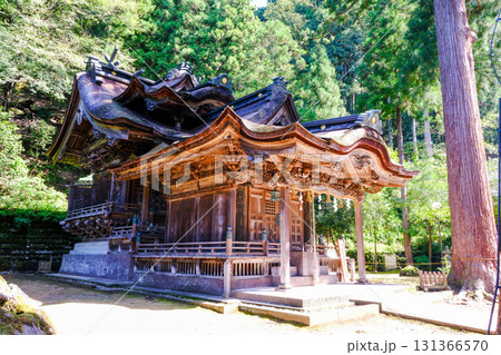 岡太神社 大瀧神社4 岡太神社 大瀧神社4 131366570