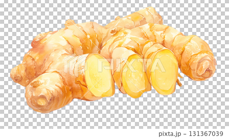 透明背景上的薑水彩插圖（png） 131367039