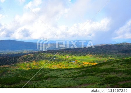 秋　カムイミンタラ　神々の遊ぶ庭　旭岳　旭平　 131367223