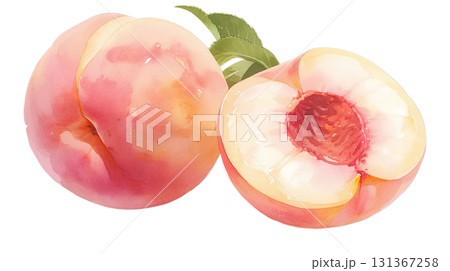 透明背景(png)に桃の水彩イラスト 透明背景(png)に桃の水彩イラスト 131367258