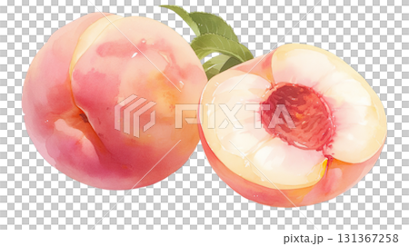 透明背景(png)に桃の水彩イラスト 透明背景(png)に桃の水彩イラスト 131367258