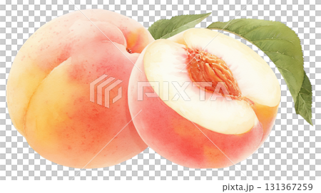 透明背景上的桃子水彩插圖（png） 131367259