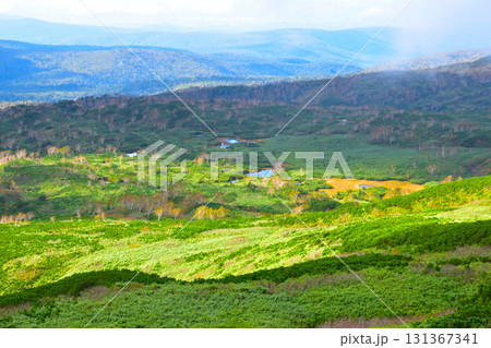 秋　カムイミンタラ　神々の遊ぶ庭　旭岳　旭平　 131367341
