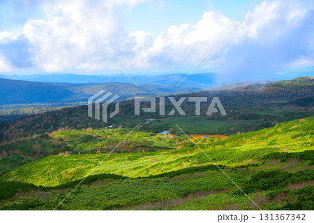秋　カムイミンタラ　神々の遊ぶ庭　旭岳　旭平　 131367342
