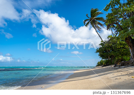 Anini Marae Beach on Huahine, French Polynesia, with turquoise waters Anini Marae Beach on Huahine, French Polynesia, with turquoise waters 131367696