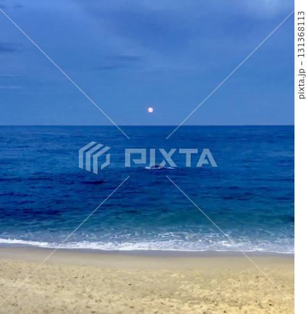 A breathtaking view of the sea with gentle waves and a serene horizon. A calming scene where the sky meets the ocean, offering peace, freedom, and endless inspiration. A breathtaking view of the sea with gentle waves and a serene horizon. A calming scene where the sky meets the ocean, offering peace, freedom, and endless inspiration. 131368113