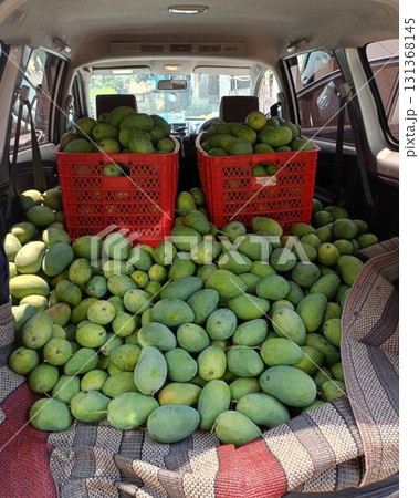 Mango, a sweet and juicy tropical fruit, known for its vibrant color and rich flavor. Perfect for eating fresh, in smoothies, or as a dessert topping. Mango, a sweet and juicy tropical fruit, known for its vibrant color and rich flavor. Perfect for eating fresh, in smoothies, or as a dessert topping. 131368145