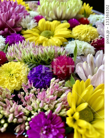 9月のカラフルな花手水(菊・千日紅・ピンポンマムのクローズアップ)〈菅生神社/愛知県岡崎市〉 131368302