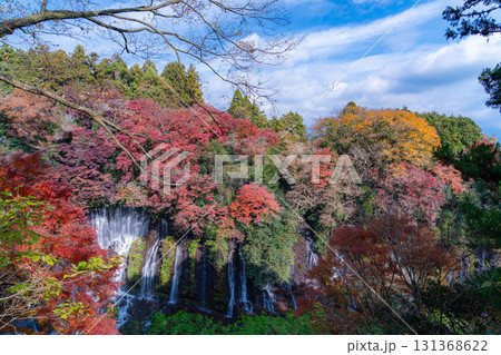 【紅葉素材】秋の富士宮市の白糸の滝・雲に見え隠れする富士山【静岡県】 【紅葉素材】秋の富士宮市の白糸の滝・雲に見え隠れする富士山【静岡県】 131368622
