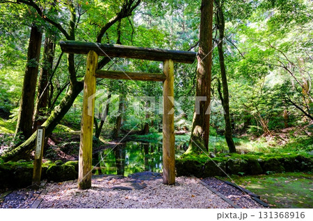 御手洗池 131368916