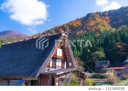 【世界遺産】紅葉真っ盛りの白川郷【岐阜県】 【世界遺産】紅葉真っ盛りの白川郷【岐阜県】 131369288