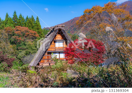 【世界遺産】紅葉真っ盛りの白川郷【岐阜県】 【世界遺産】紅葉真っ盛りの白川郷【岐阜県】 131369304