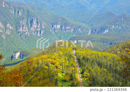 秋　大雪山　黒岳五合目　層雲峡 131369398