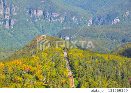 秋　大雪山　黒岳五合目　層雲峡 131369399