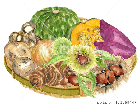 水彩で描いたザルに盛ったいろいろな種類の野菜【手描き】白バック 透過背景 131369447