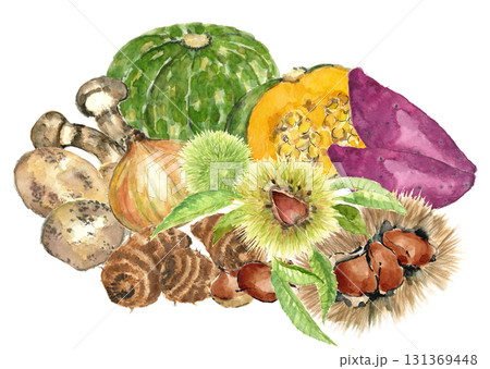 水彩で描いたいろいろな種類の野菜【手描き】白バック 透過背景 131369448