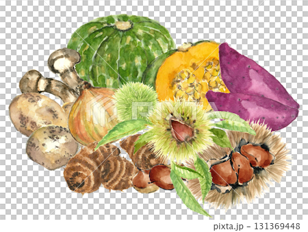 在白色背景上用水彩 [手繪] 繪製的各種蔬菜，背景透明 131369448