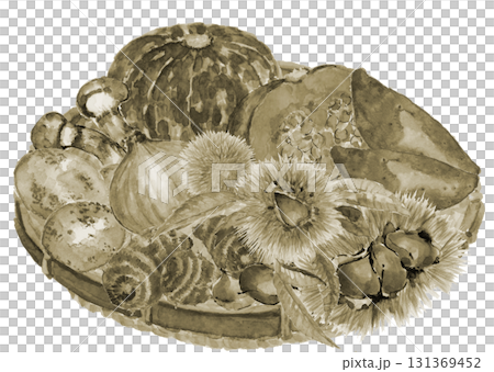 水彩で描いたザルに盛ったいろいろな種類のセピアトーンの野菜【手描き】白バック 透過背景 131369452