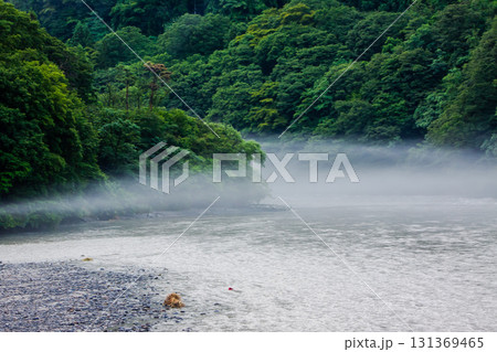 ダム湖に広がる川霧 天竜川 吉瀬ダム 131369465
