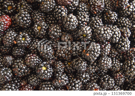 Plate with berries black blackberries Plate with berries black blackberries 131369700