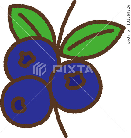 手書き風の単品アイコンイラスト　果物　ブルーベリー 131369826