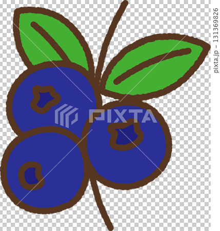 手書き風の単品アイコンイラスト　果物　ブルーベリー 131369826