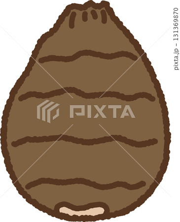 手書き風の単品アイコンイラスト 野菜 里芋 手書き風の単品アイコンイラスト 野菜 里芋 131369870