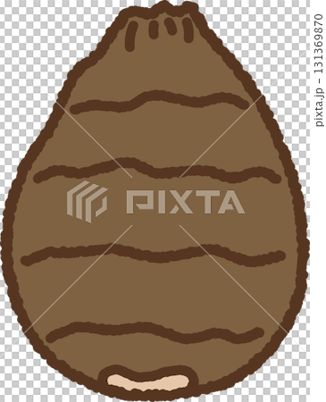 手書き風の単品アイコンイラスト 野菜 里芋 手書き風の単品アイコンイラスト 野菜 里芋 131369870