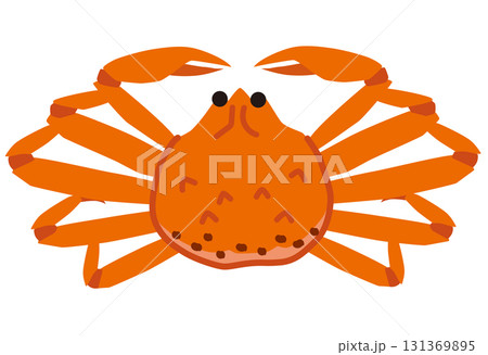 松葉蟹　ズワイガニ 131369895