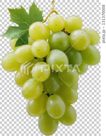 Bunch of fresh green grapes with water droplets 131370008