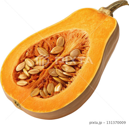 Butternut squash cut in half revealing its orange flesh and seeds 131370009