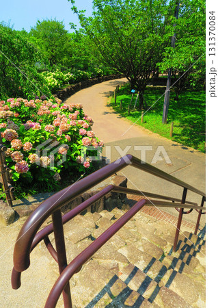 都市農業公園の様々な風景 都市農業公園の様々な風景 131370084