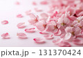 桜の花びら 131370424