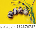 Composition from quail eggs and artificial grass on yellow background. Easter concept. 131370787