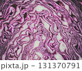 A slice of red raw cabbage. Abstract vegetable background 131370791