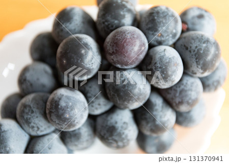 ナガノパープル ナガノパープル 131370941