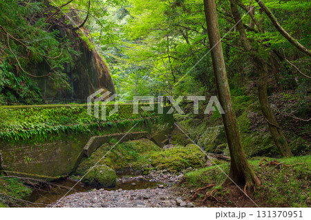 阿寺の七滝の散策路（愛知県新城市） 131370951